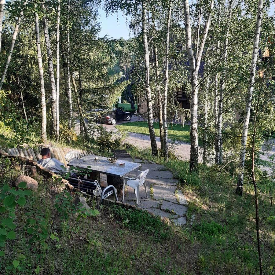 Agroturystyka Brzozowe Wzgórze Wlen Exterior foto
