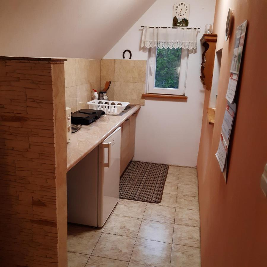 Agroturystyka Brzozowe Wzgórze Wlen Exterior foto